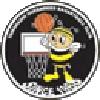 https://img.genamazing.com/img/basketball/team/e416830f4083698237c559f8988ddb25.png